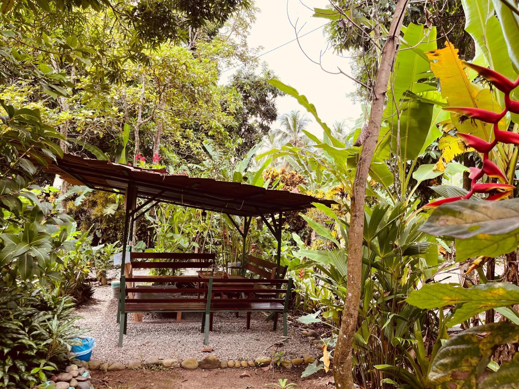 La Ruka Hostel Puerto Viejo de Talamanca Zewnętrze zdjęcie